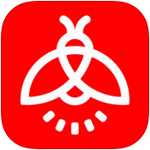 亞泰保級戰每分必爭 蘇亞雷斯：希望從山東泰山搶分成功